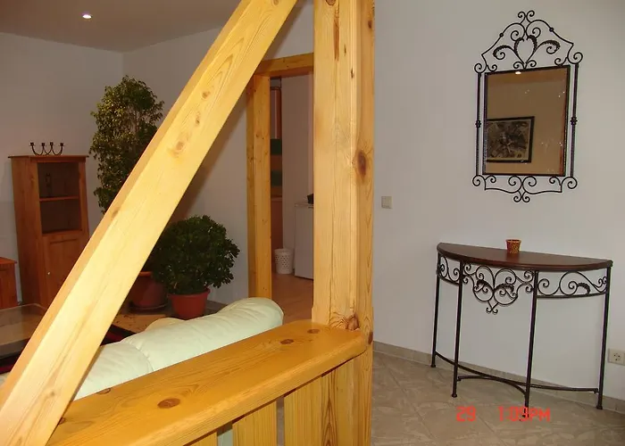 Mitko * ראדבול